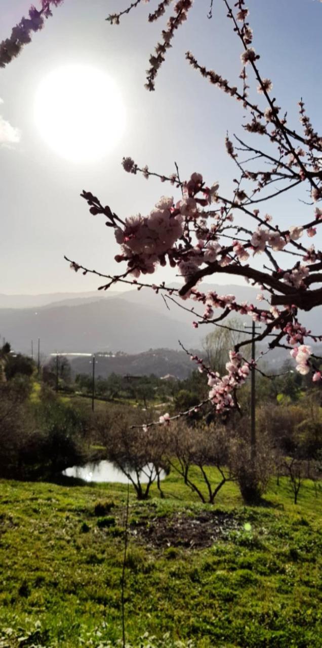 Bolano Relax Nella Natura מראה חיצוני תמונה